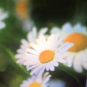 Meet your Posher, Beatrice